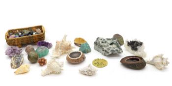 A large collection of shells and minerals,