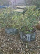 A pair of cast iron planters,