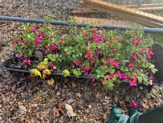 A pair of cast iron 'Trough' planters,