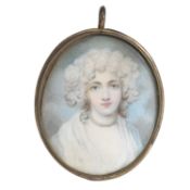 Follower of Andrew Plimer