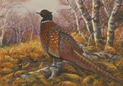 ▲ Kim Brooks (b.1936)