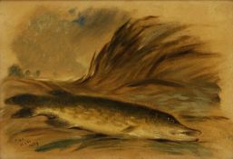 Edmund John Niemann (1813-1876)