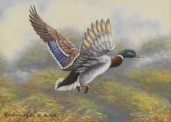 ▲ Kim Brooks (b.1936)