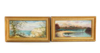 A pair of Edwardian porcelain tiles,