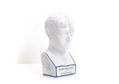 A Phrenology model,