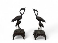 A pair of early 20th century Japanese bronze figures of storks