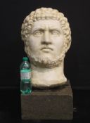 Sculpture, Ancient head of Caracalla - 73 m