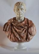 Colored marble bust of Octavian Augustus