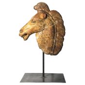 Head of a horse in terracotta