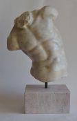 Torso "Gaddi"