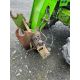 2005 MERLO 26.6 FARM TELEHANDLER - Image 8 of 10