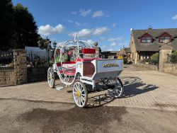 2025 CAPTOK ELECTRIC WEDDING CARRIAGE