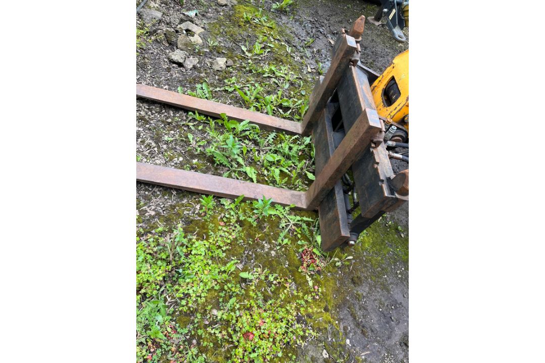 DIECI CARRIAGE AND TINES - Image 6 of 6