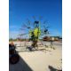 CLAAS LINER 880 TWIN MOTOR RAKE. - Image 5 of 5