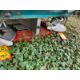 SULKY DPX FERTILISER SPREADER - Image 5 of 7