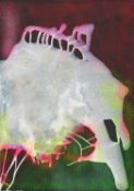 Sigmar Polke: Ohne Titel