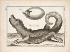 P. J. Bonnaterre (Hrsg.), Tableau encyclopédique et méthodique ... Padua 1795.