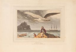 T. u. W. Daniell, A picturesque voyage to India; by the way of China. London 1810.