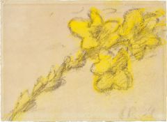 Christian Rohlfs. Untitled. 1934 (?)