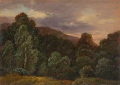 Carl Gustav Carus. ”Laubwald. Landschaft mit Vögeln und Bäumen”.