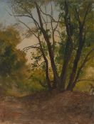 Christian Friedrich Gille. Tree study. Circa 1835/40