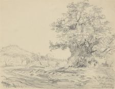 Johan Christian Clausen Dahl. ”Die Staffelsteiner Linde und die Staffelburg” (The Staffelstei…. 1849