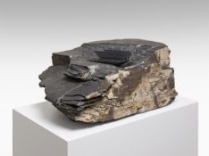 Alicja Kwade. ”Finallyfound (iPad)”. 2018