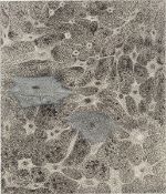 Ross Bleckner. ”PATHWAY”. 1998