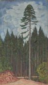 Alexander Gerbig. Untitled (forest clearing).