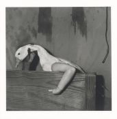 Roger Ballen. ”One Arm Goose”. 2004