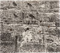 Jiří Georg Dokoupil. ”Pajaros con agujeros”. 1989