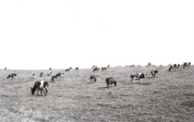Heinrich Riebesehl. ”Klein Waabs (Schleswig – Flensburg)”, Juli 1978, from the series ”Agrarl…. 1978