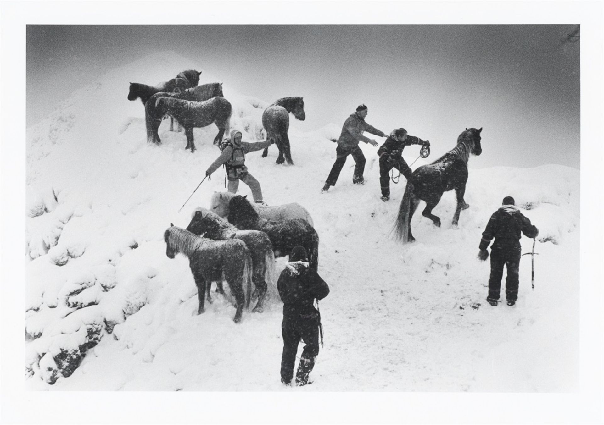 Ragnar Axelsson. „Horse rescue – Iceland“. 1995 - Bild 2 aus 5