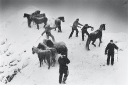 Ragnar Axelsson. ”Horse rescue – Iceland”. 1995