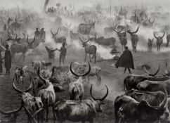Sebastião Salgado. ”Sud Soudan”, Dinka Cattle Camp of Amak. 2006