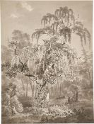 Adrian Zingg. Wooded area with small pond.