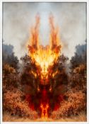 Julius von Bismarck. ”FEUER MIT FEUER (TEST APPARAT #1)”. 2020