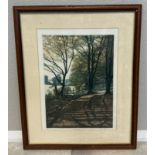 MARK SPAIN: A framed and glazed watercolour entitled 'Autumn Beech'.
