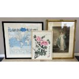 Three framed and glazed prints.