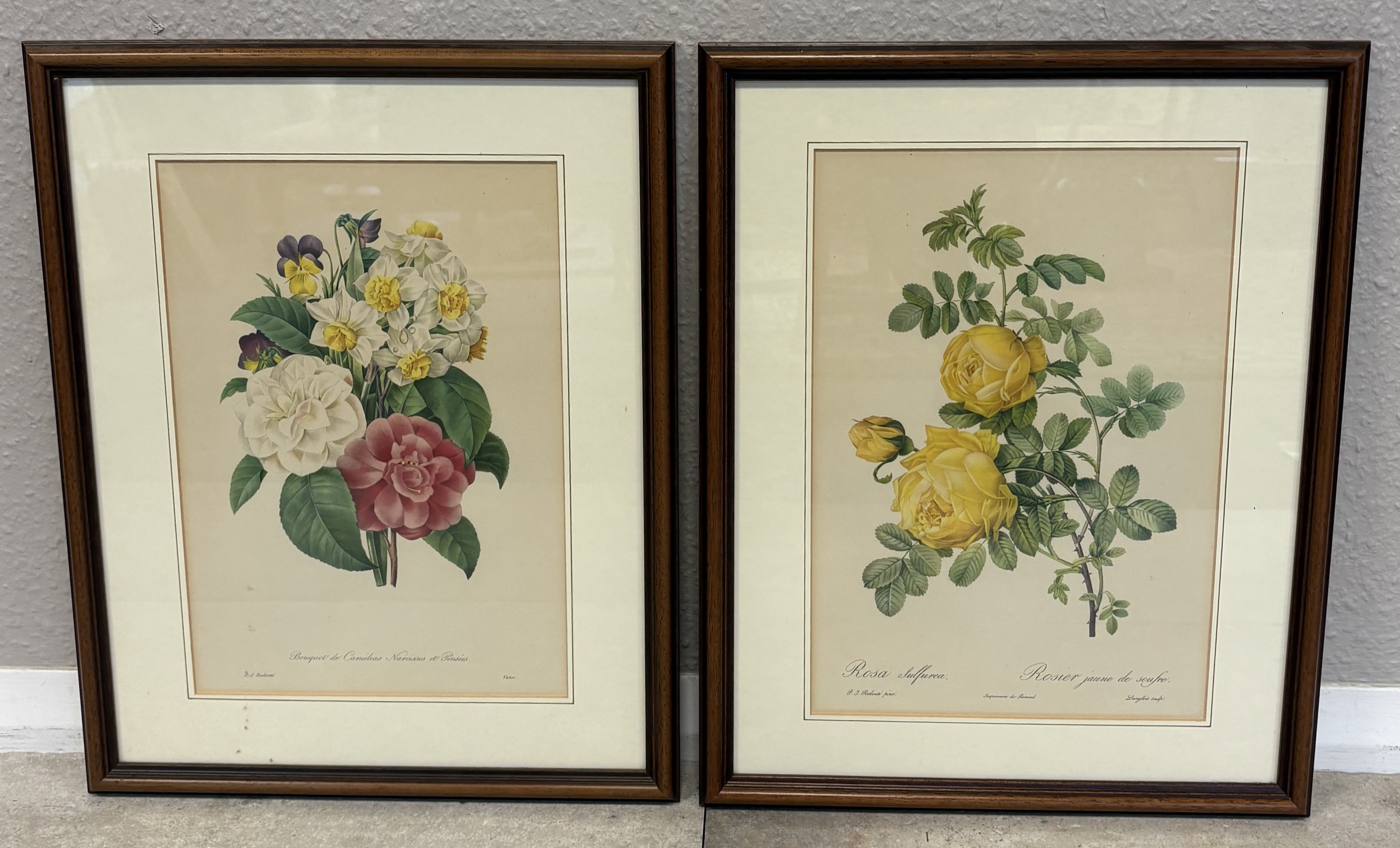 Two framed and glazed prints depicting flowers.
