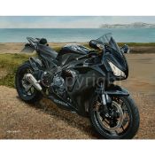 Honda CBR 1000RR Fireblade Extra Large Metal Wall Art