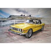 Triumph Stag At Whitby Large Metal Wall Art