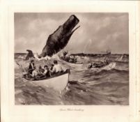 Sperm Whale Breaching Rare Limited-Edition J.G. Millais Antique Print-3.