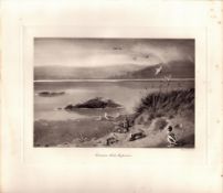 Common Seals Suspicious Rare Limited-Edition Antique Print-39.