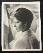 Helen Shapiro Signed