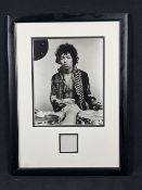 Jimi Hendrix Hair