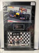 Seb Vettel 10x8 Photograph