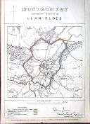 Llanidloes District Powys Wales Boundary Commission 157-Year-Old Coloured Antique Map.