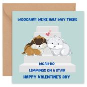 Valentine’s Day Cards Brand New