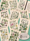 11 British Wild-Flowers John Sowerby Antique Engraved Prints with Original Hand Colouring-3.